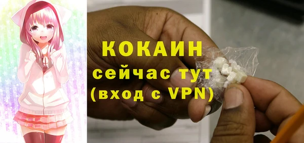 гидропоника Белокуриха