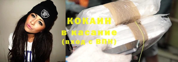 шишки Корсаков