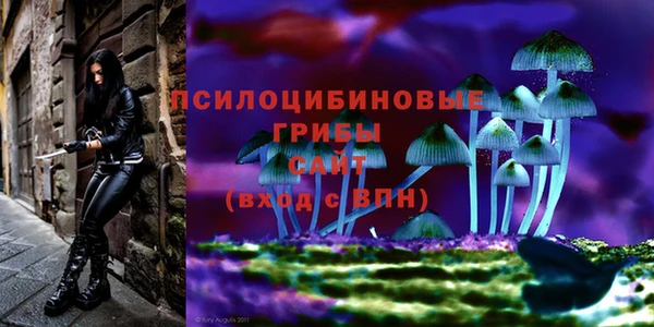 гидропоника Белокуриха