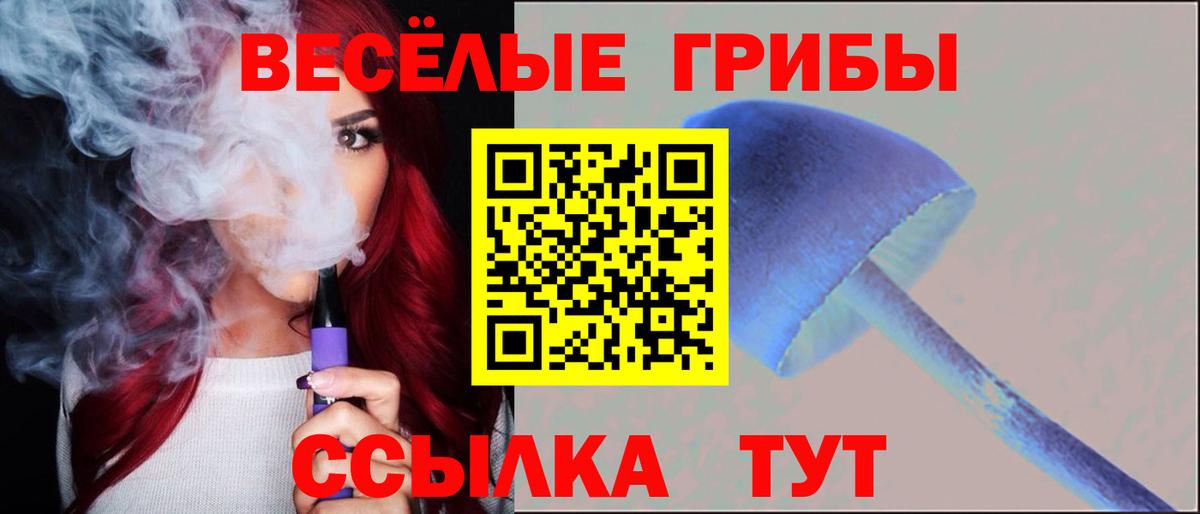 Псилоцибиновые грибы мицелий Белореченск